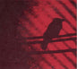 A Silver Mt. Zion: Born Into Trouble As the Sparks Fly Upward